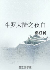 （BL/斗羅大陸同人）斗羅大陸之夜白